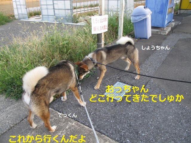 f0143123_08394593.jpg