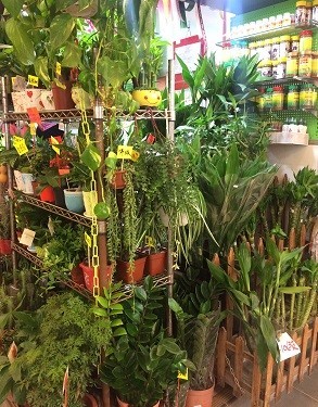 f0371533_17485171.jpg