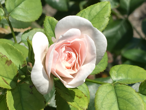 f0327534_10270119.jpg