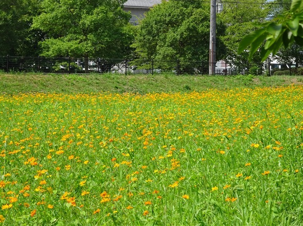b0299042_21403359.jpg