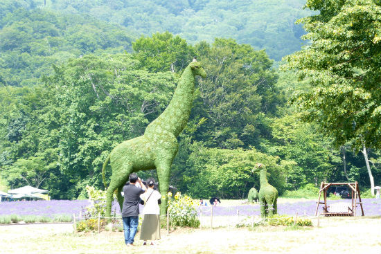 群馬県・吹き割の滝とたんばらラベンダーパーク_d0039443_14435047.jpg