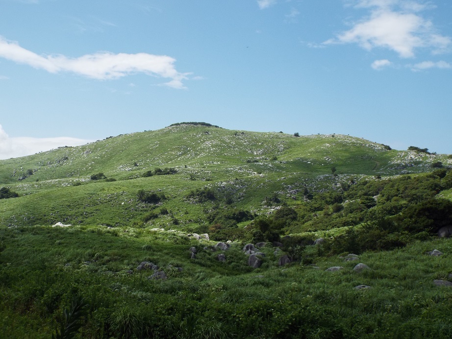 e0164643_16214597.jpg