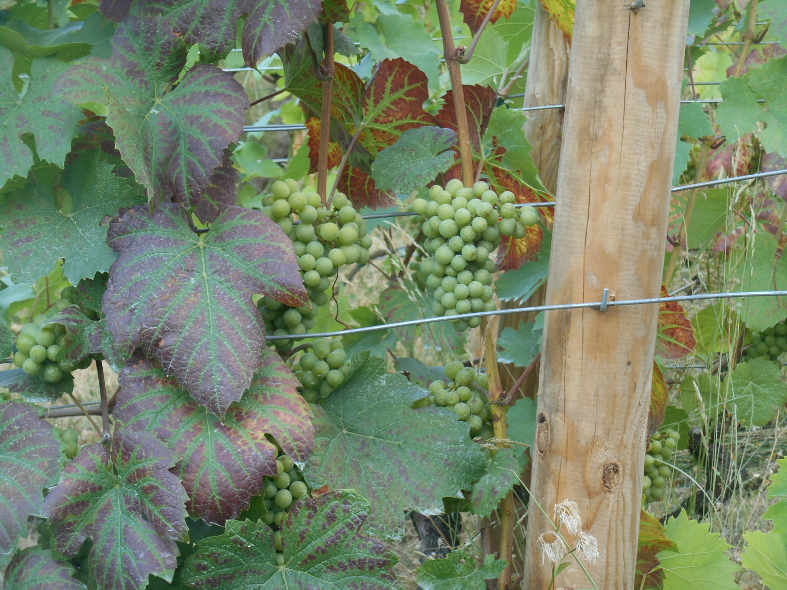 e0297347_2153049.jpg