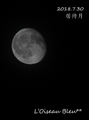 a0200050_16534247.jpg