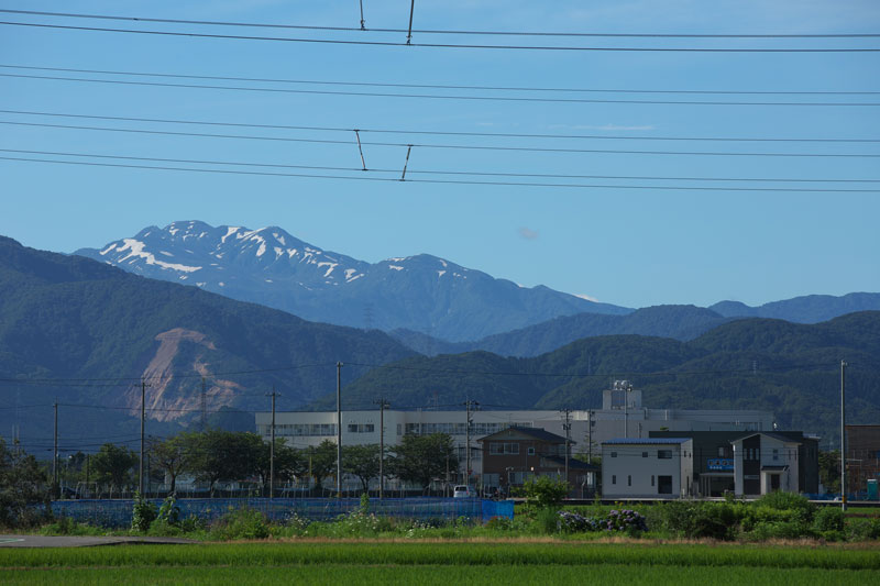 d0342652_358185.jpg
