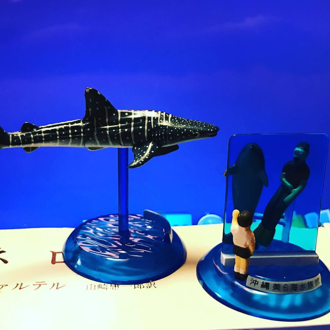 14年ぶりの美ら海水族館で_a0087957_09022400.jpg