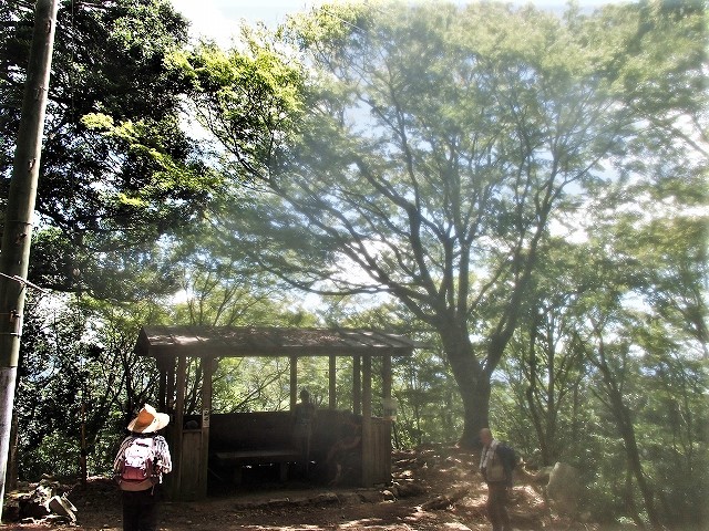b0044663_19553448.jpg