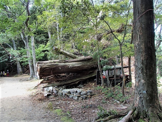 b0044663_19575812.jpg