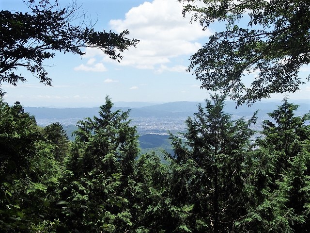 b0044663_19593757.jpg