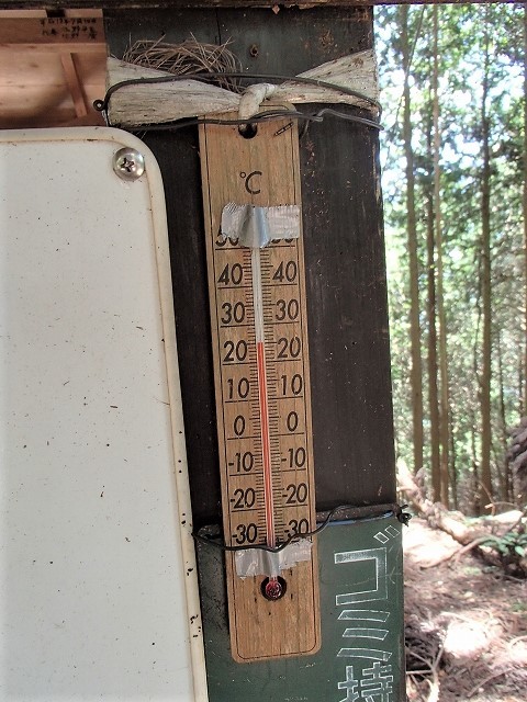 b0044663_20023022.jpg