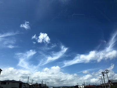 c0050264_00130919.jpg