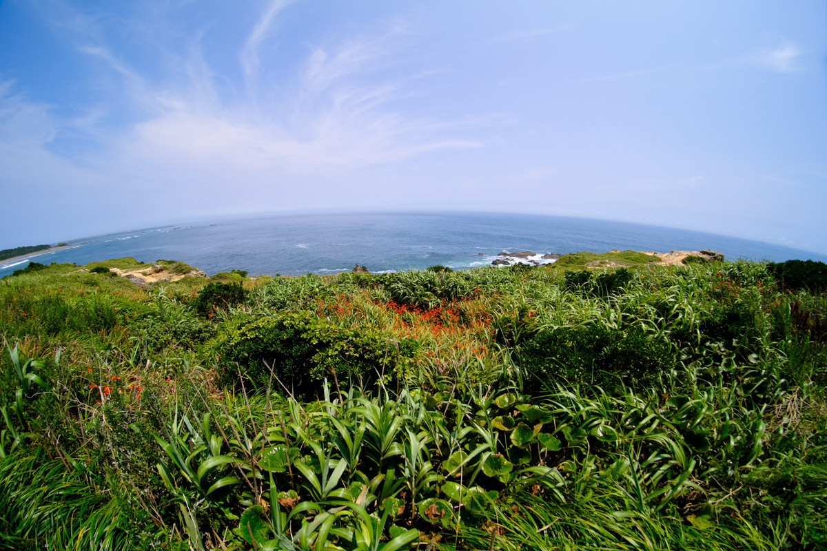 c0084666_11051696.jpg