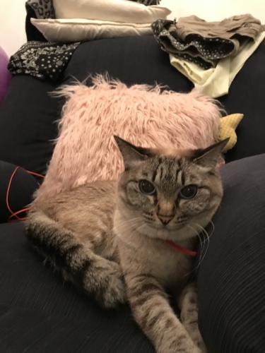 c0153966_10071957.jpeg