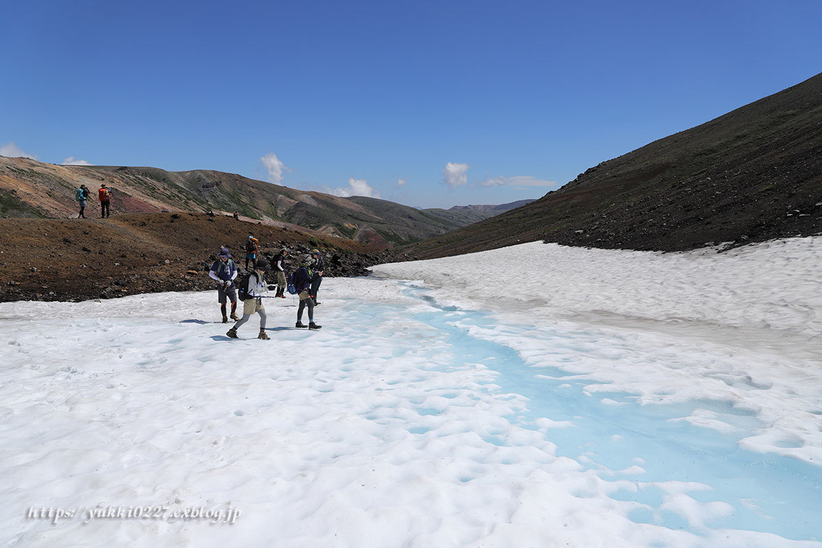 旭岳～間宮岳～裾合平【 お花咲く大雪山を満喫!! 】№2_f0054366_12403549.jpg