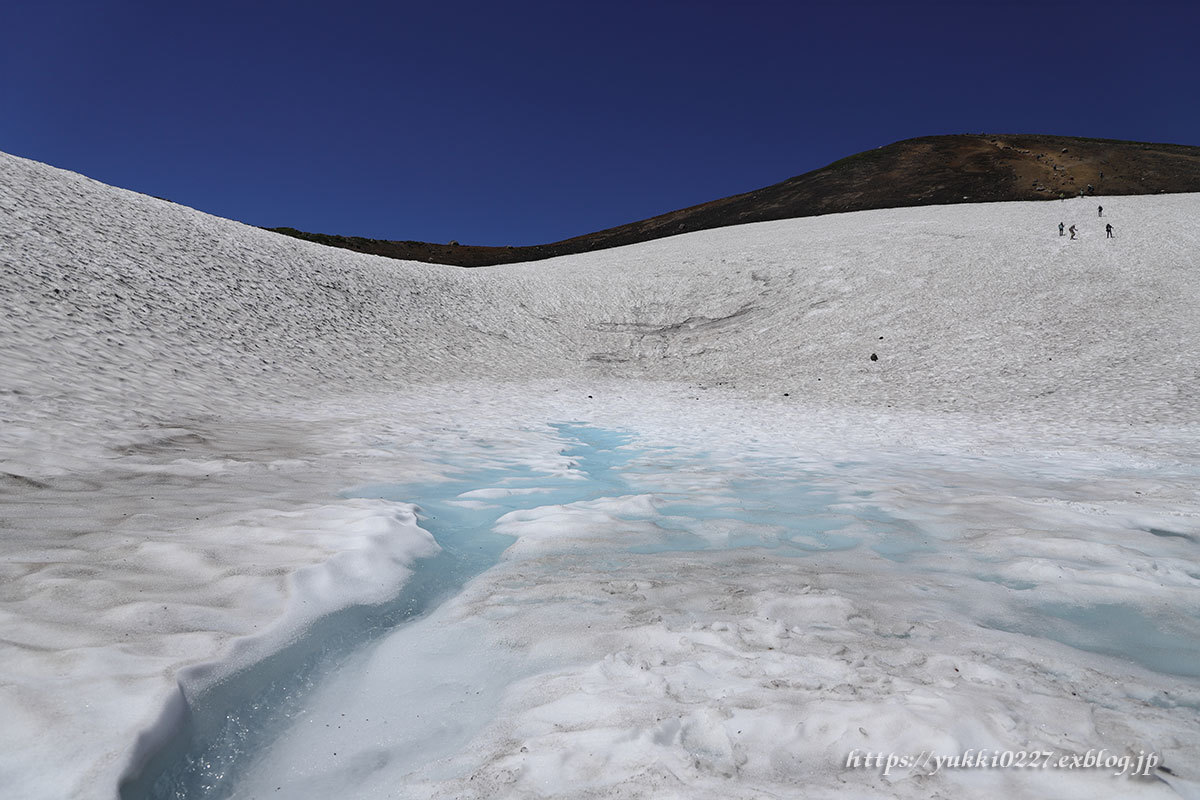 旭岳～間宮岳～裾合平【 お花咲く大雪山を満喫!! 】№2_f0054366_12403569.jpg