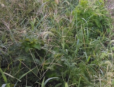 f0122766_20360737.jpg