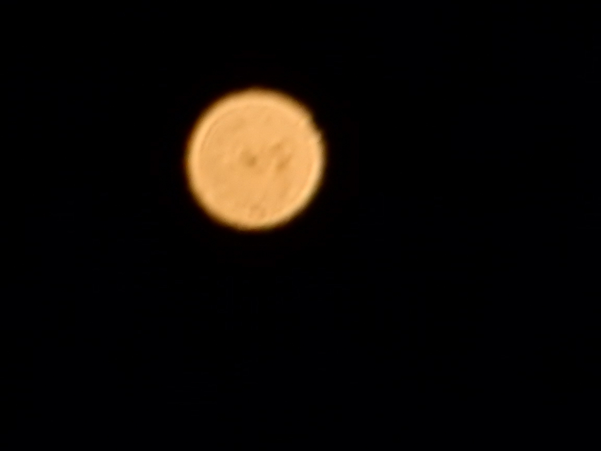 e0175370_10023130.jpg