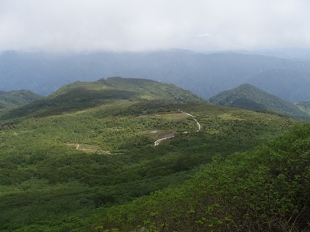 a0344771_16180269.jpg