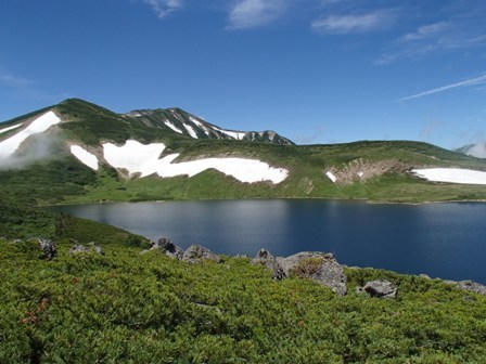 a0344771_16182086.jpg