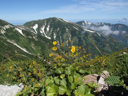 a0344771_16193306.jpg