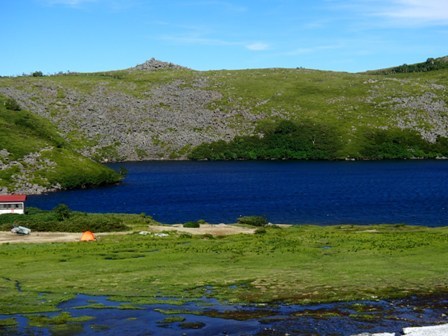 a0344771_16285302.jpg