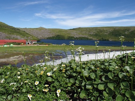 a0344771_16290868.jpg