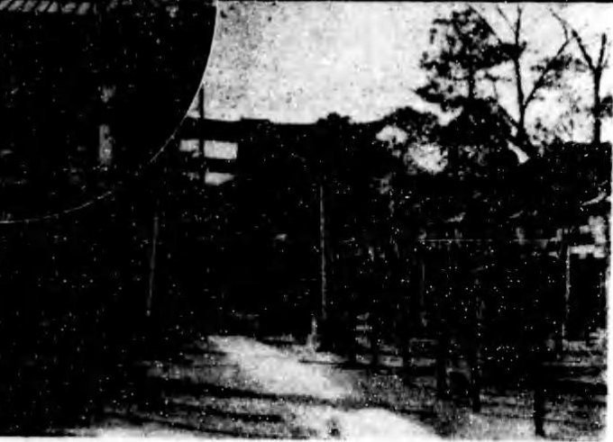 純粋日記(明治時代成分多め)サティ、浅草寺、軍艦島高島今昔、幽霊の日、脂取り一揆 2018/7/24-31_b0116271_15495796.jpg