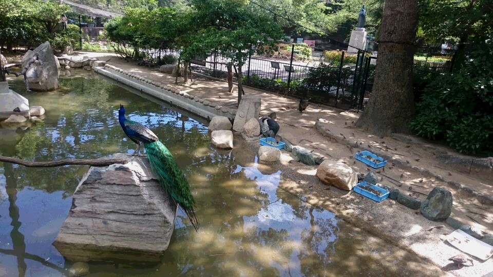 b0245877_21331554.jpg