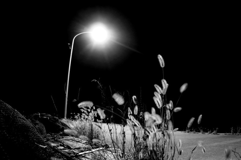b0093678_21144710.jpg