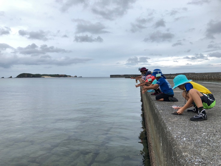 わんぱく冒険学校B〔２日目〕夕方からの魚釣り！ダンボールの釣りざおでこんなに釣れました！全員釣れた！_d0363878_1974158.jpg