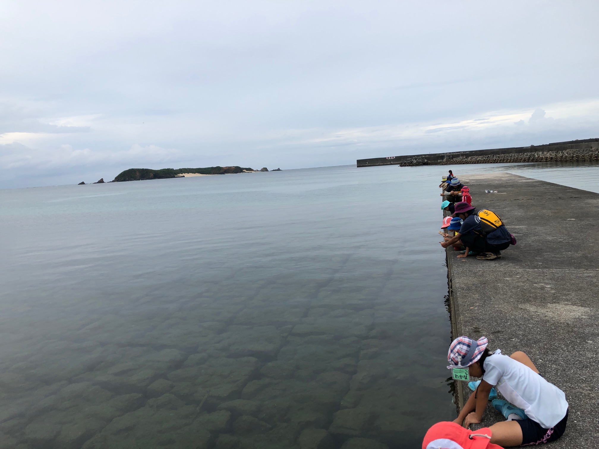 わんぱく冒険学校B〔２日目〕夕方からの魚釣り！ダンボールの釣りざおでこんなに釣れました！全員釣れた！_d0363878_1974415.jpg