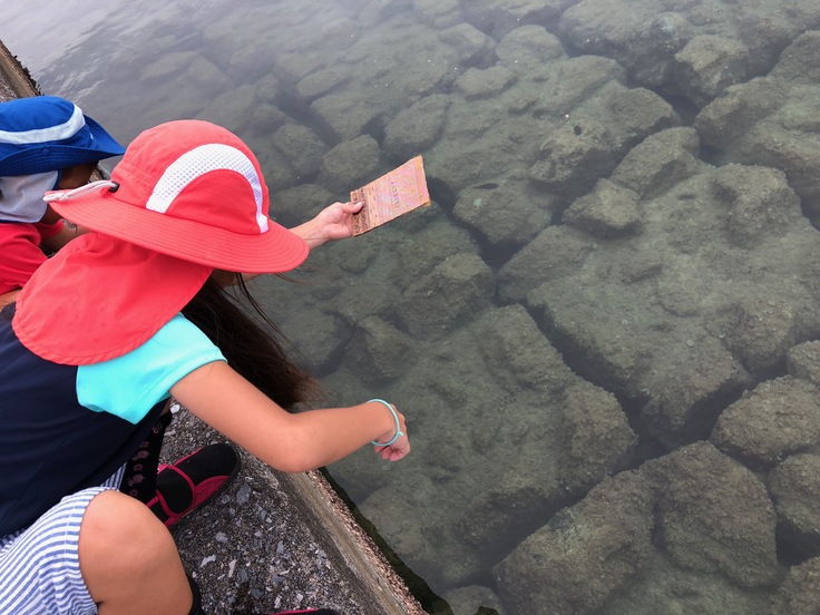 わんぱく冒険学校B〔２日目〕夕方からの魚釣り！ダンボールの釣りざおでこんなに釣れました！全員釣れた！_d0363878_1974549.jpg