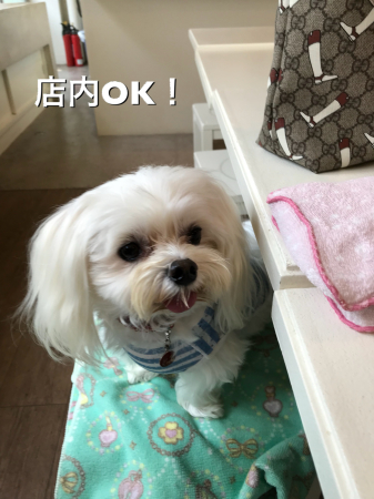 b0193480_15464050.jpeg