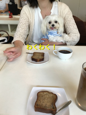 b0193480_15472154.jpeg