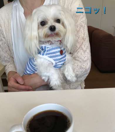 b0193480_15473600.jpeg