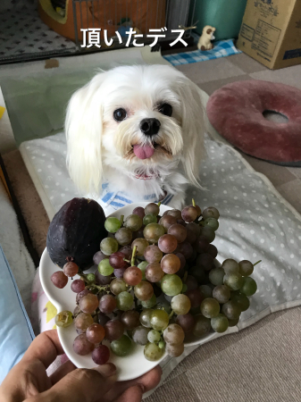b0193480_15480110.jpeg