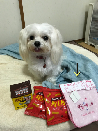 b0193480_15482147.jpeg