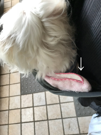 b0193480_15485650.jpeg