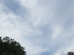 a0142083_09093195.jpg
