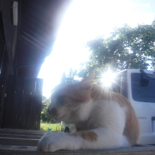 d0195183_02525819.jpeg