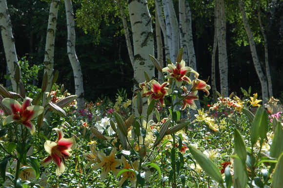 b0203588_20314061.jpg