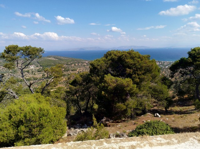 f0100593_19501019.jpg