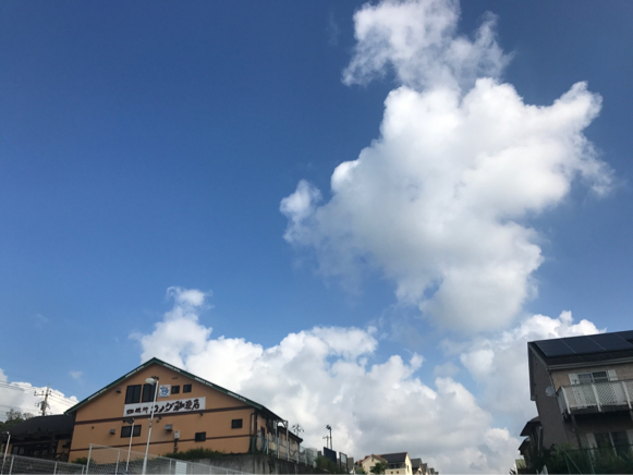 d0135694_19403283.jpg