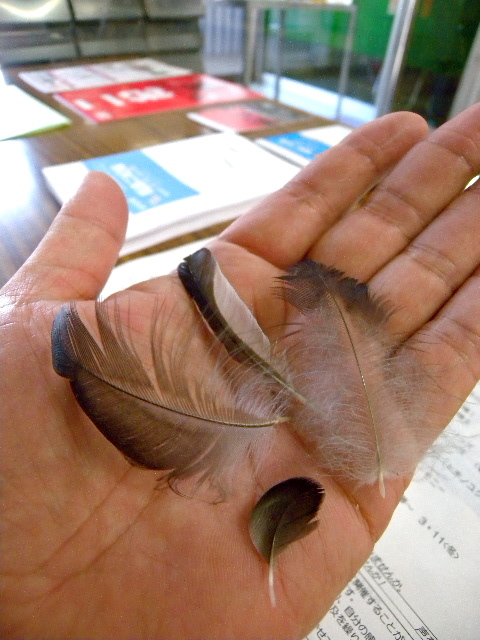 a0199297_20335529.jpg