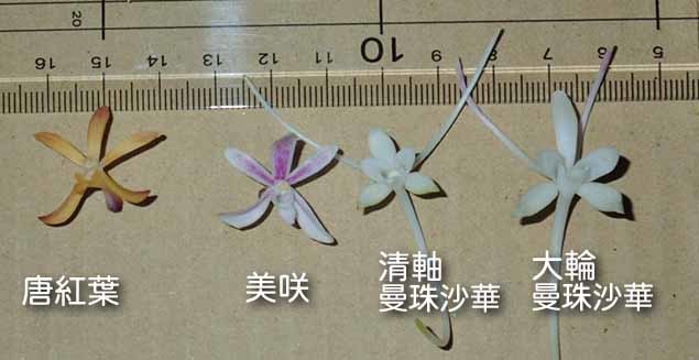 e0363198_18525104.jpg