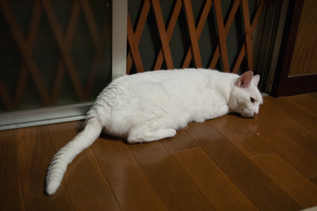 f0239100_00501403.jpg