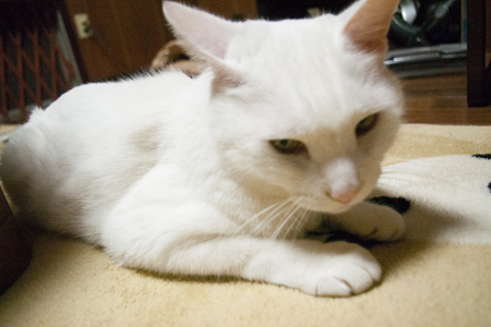 f0239100_00523086.jpg
