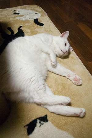 f0239100_00531940.jpg