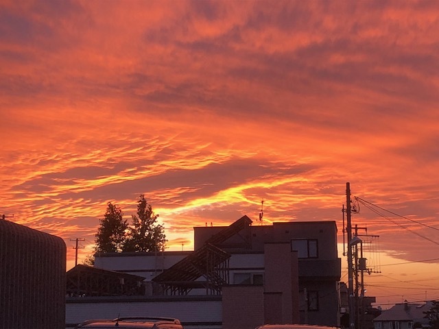 b0127002_18283034.jpg