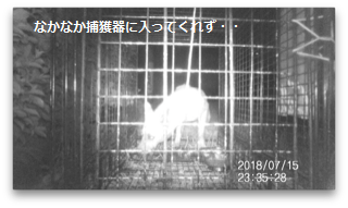 f0242002_18354301.png